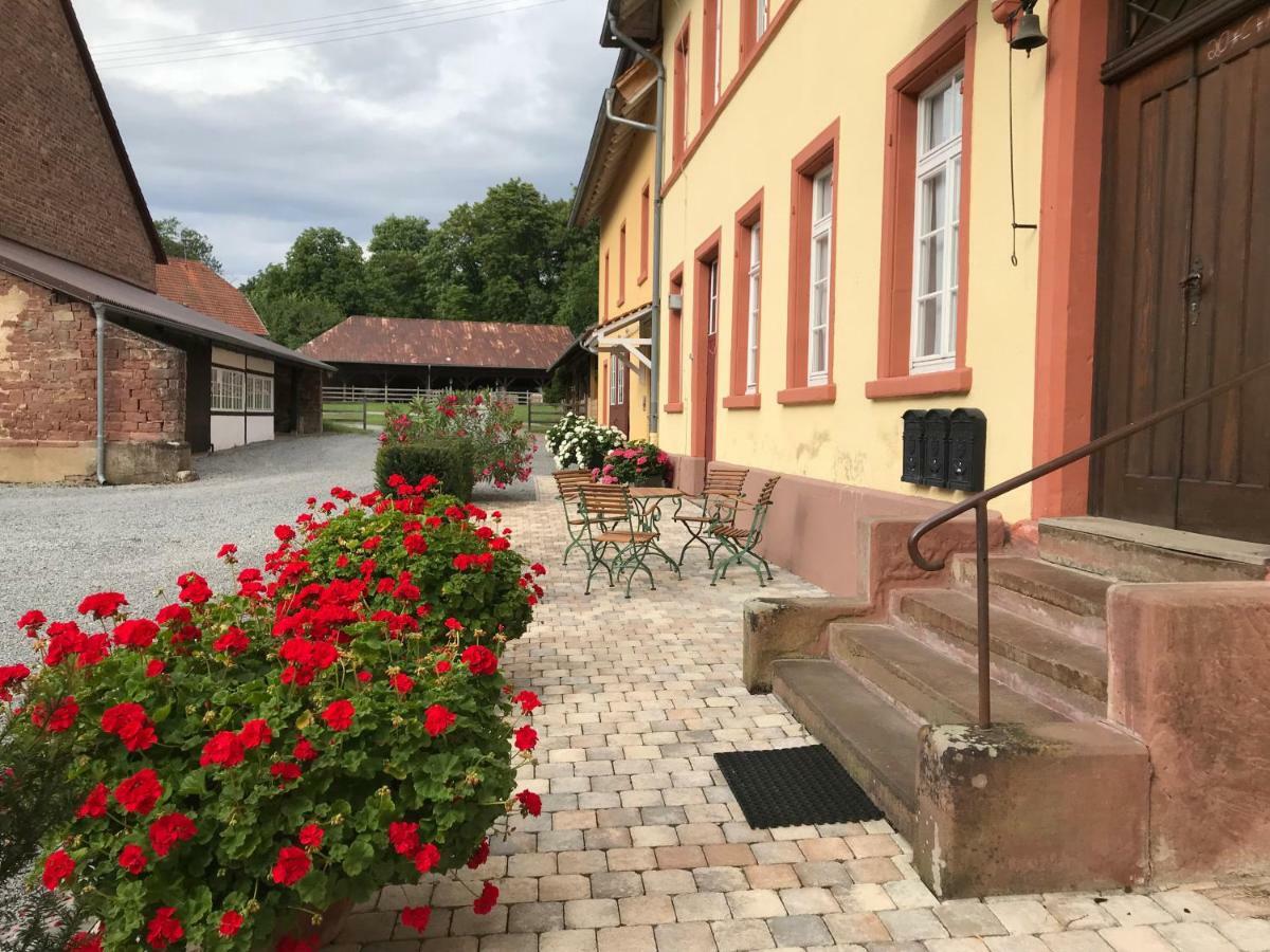 Elegantes Gaesteapartment Verano In Schloss Und Hofgut Langenzell Wiesenbach Экстерьер фото